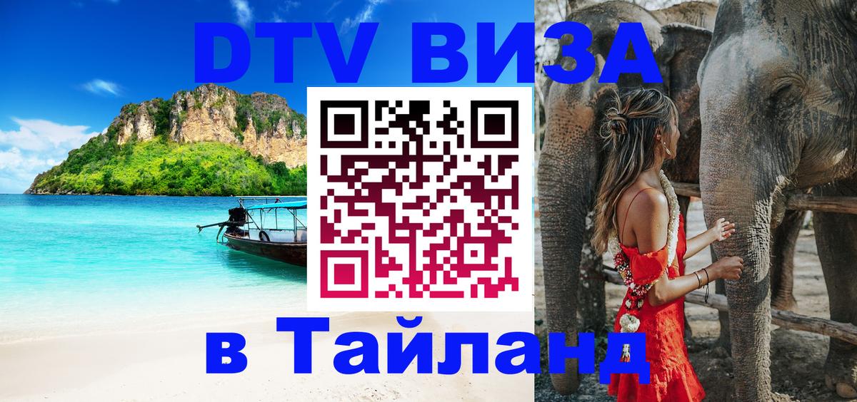 Сколько стоит DTV виза — актуальные цены, оформление даже без документов - 21.11.2025 